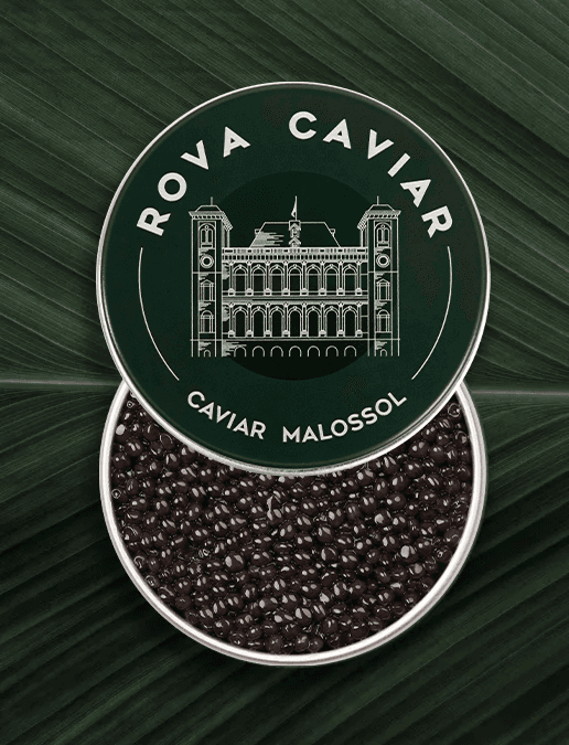 caviar-oscietre