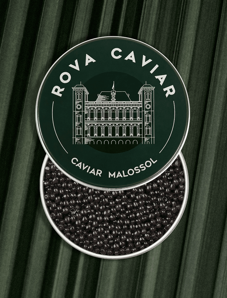 caviar-persicus