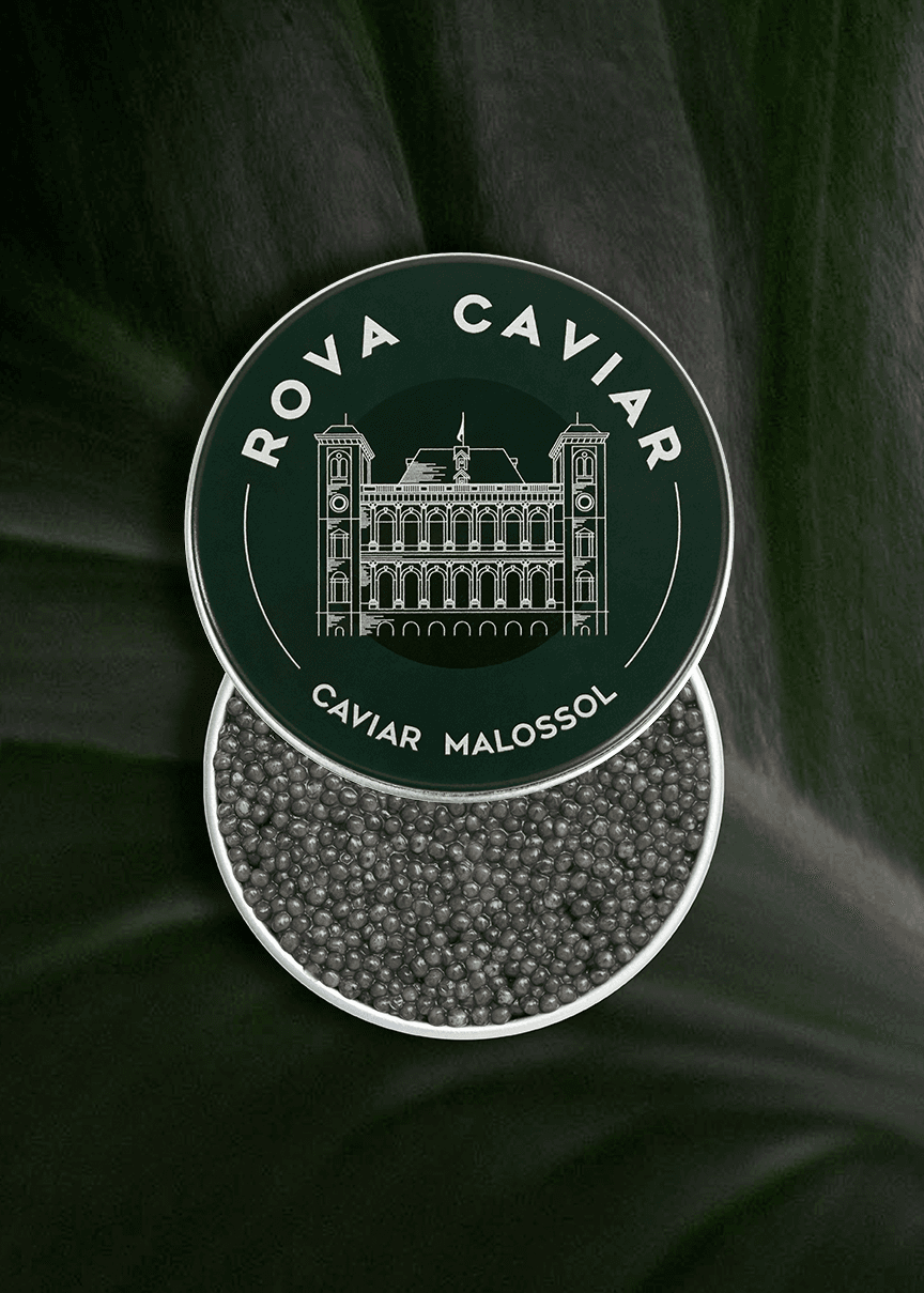 caviar-sevruga