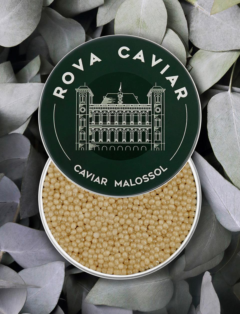 caviar-shipova